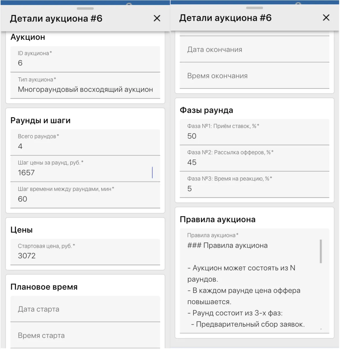 Параметры и правила аукциона
